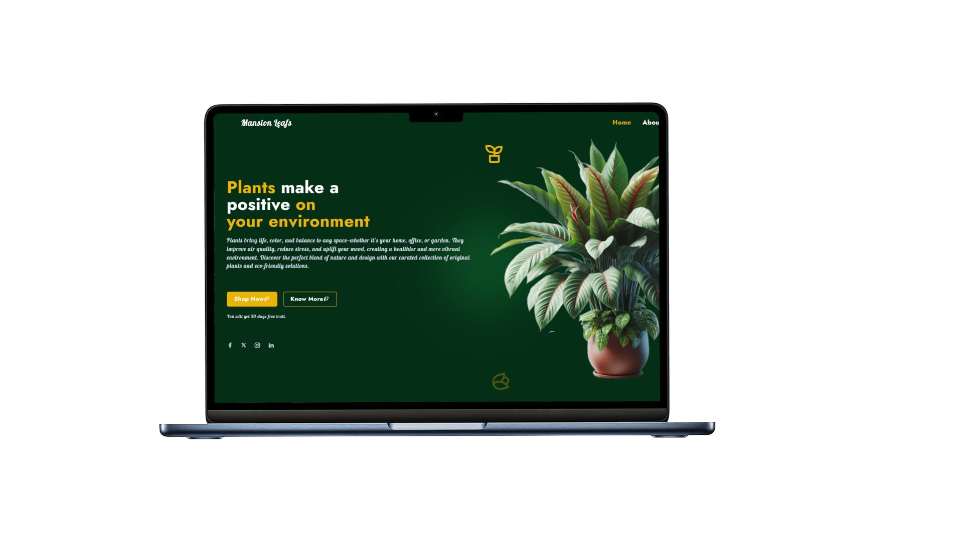 Green Saas Landing Page